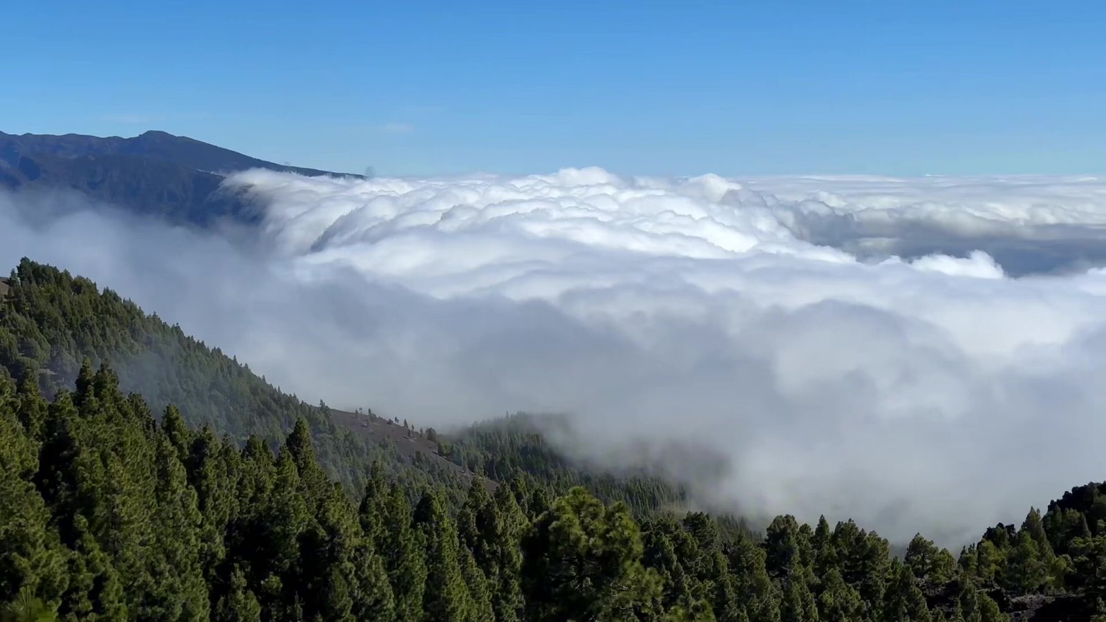 Sea of clouds above La Palma mountains